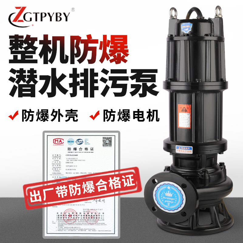 WQB防爆BT4CT4潜水排污泵矿用隔爆大流量潜污泵煤矿无堵塞污水泵