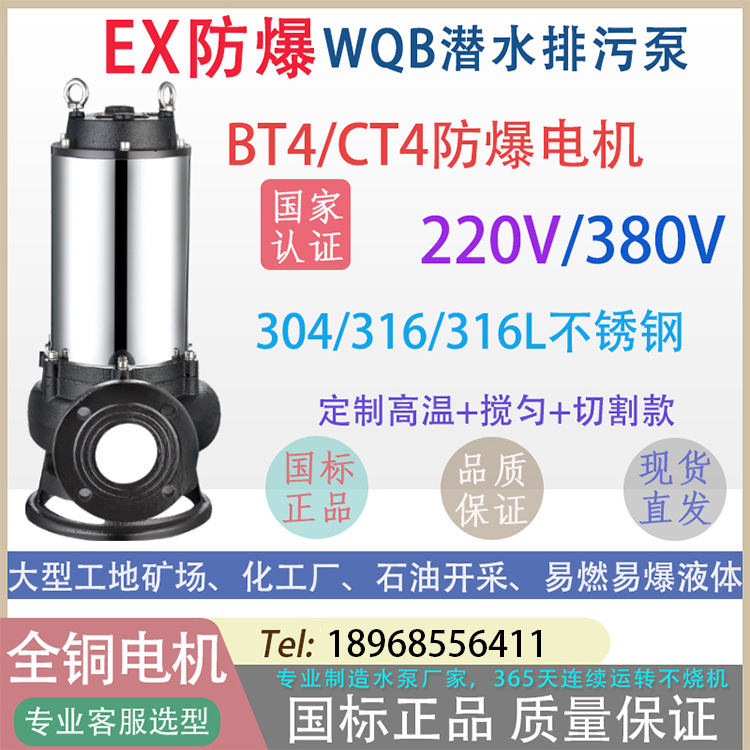 BWQ隔爆型潜污泵整机防爆带证书380V220V防爆污水泵