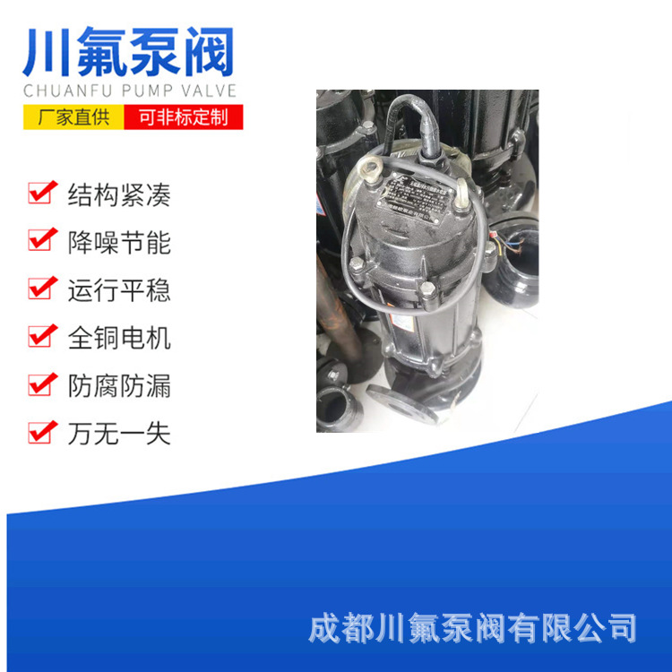 污水泵抽粪泥浆耦合纯铜污水排污泵不阻塞潜水排污泵大流量铸铁泵