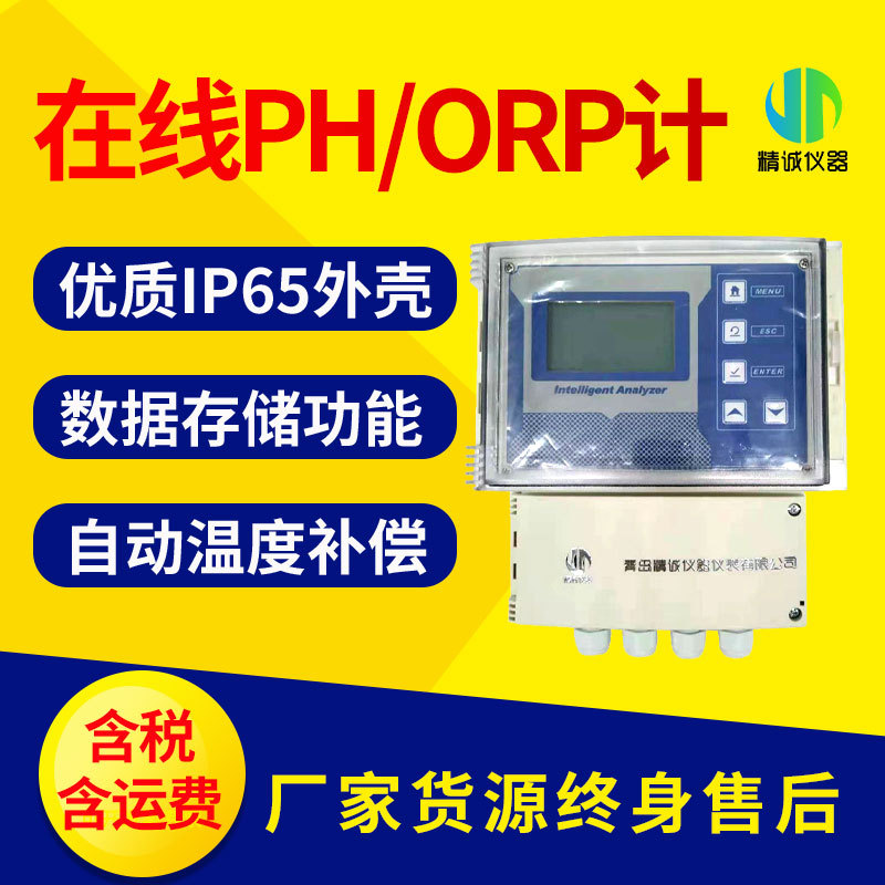 在线PH计 壁挂式在线水质PH计废水处理实时PH监测仪ORP检测仪