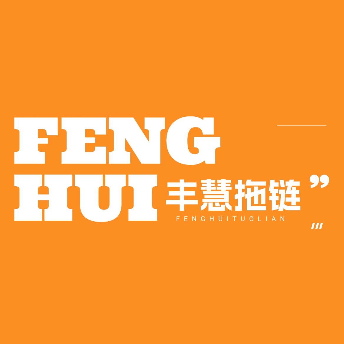 东莞市丰慧数码科技有限公司 - 公司logo