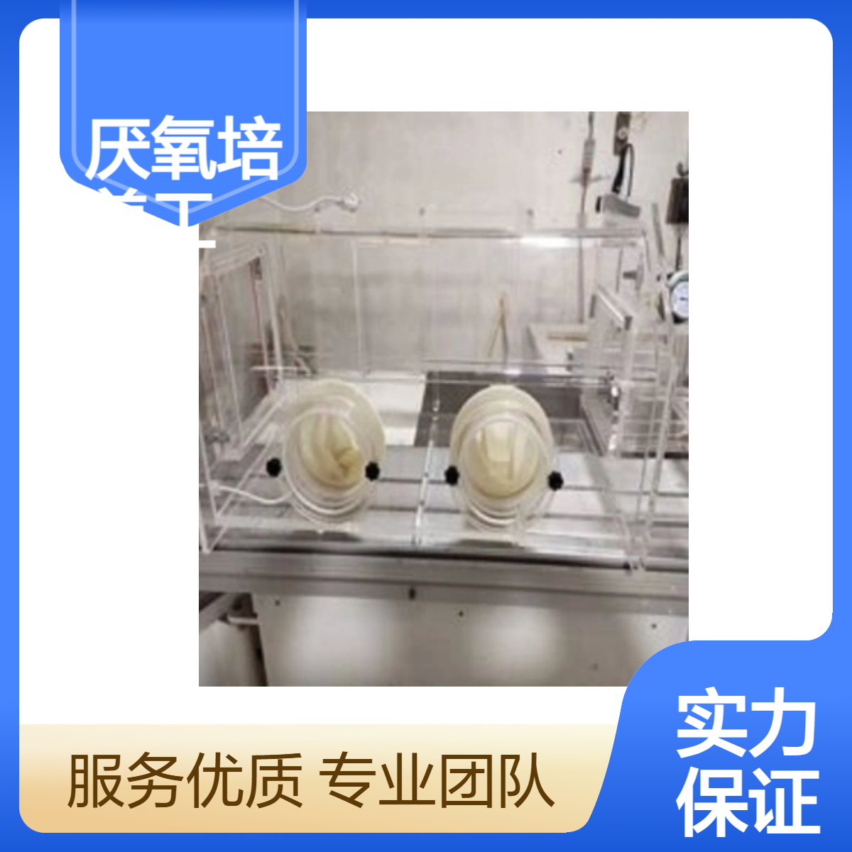 厌氧培养工作站 透明 厌氧培养工作站 玻璃厌氧培养工作站