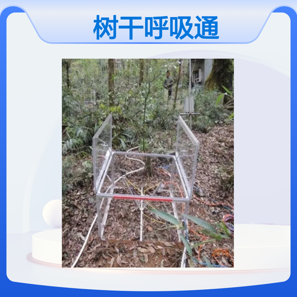 树干呼吸通量气室 加工定做树干呼吸通量气室
