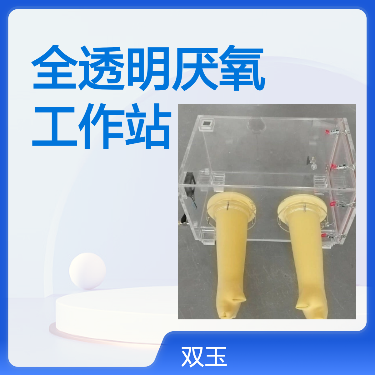 全透明厌氧工作站全透明厌氧工作站全透明厌氧工作站