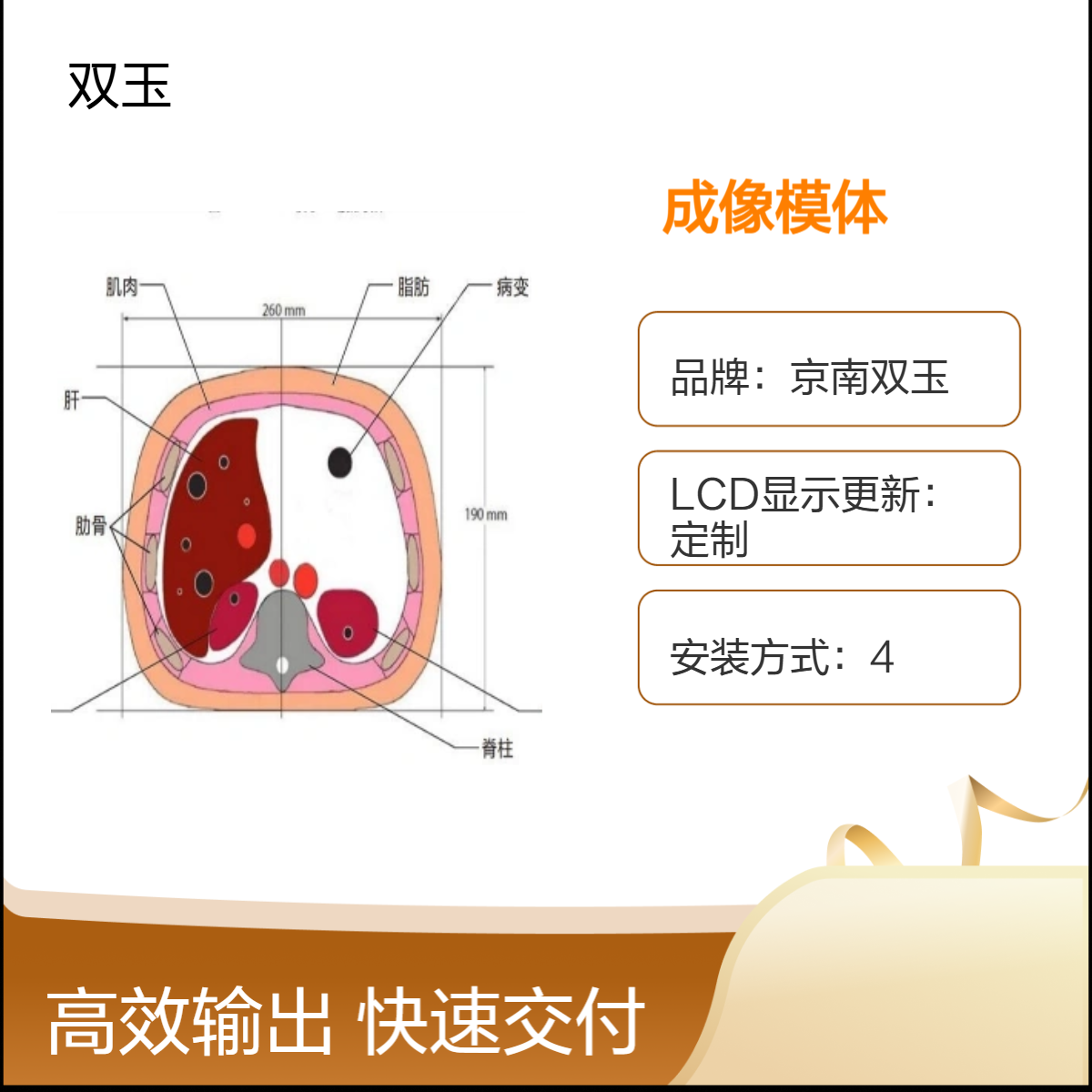 京南双玉定制成像模体 仿真胸腔扫描成像模体