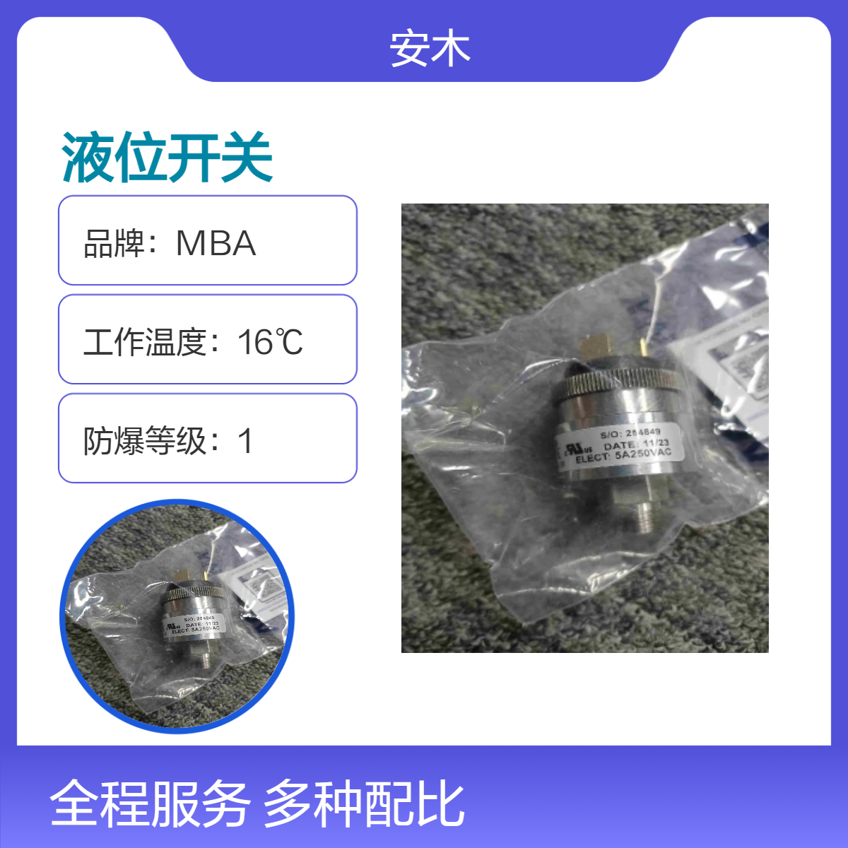WHITMAN液位开关液位控制器 16℃工作 200mm尺寸