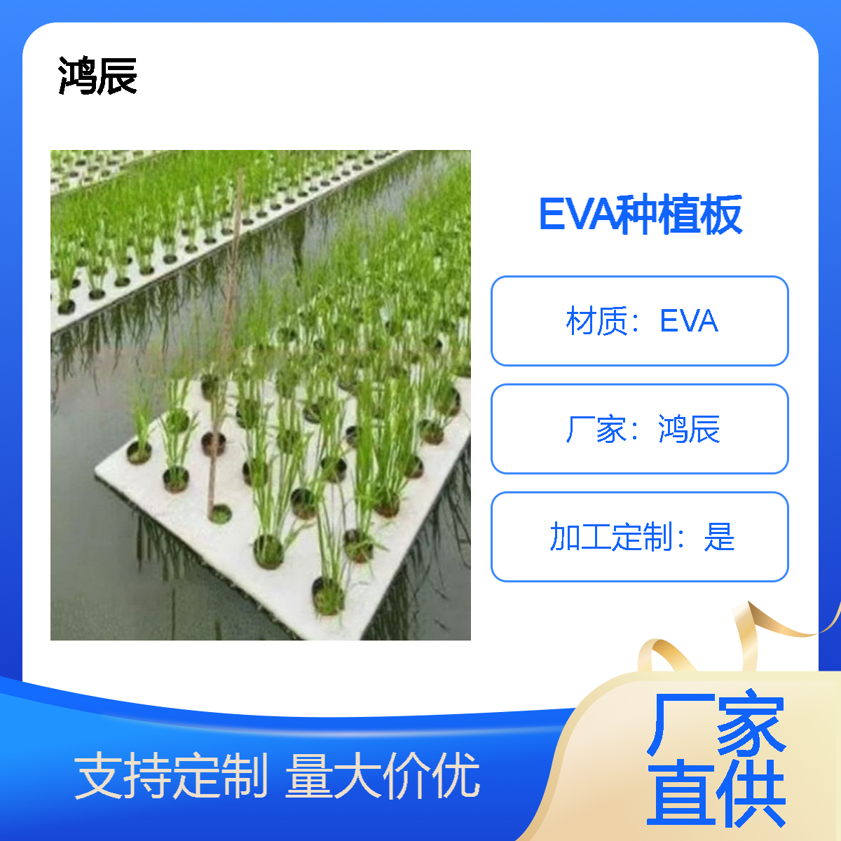 EVA水稻水面种植浮板 水培蔬菜带孔定植板 规格尺寸定制按需加工