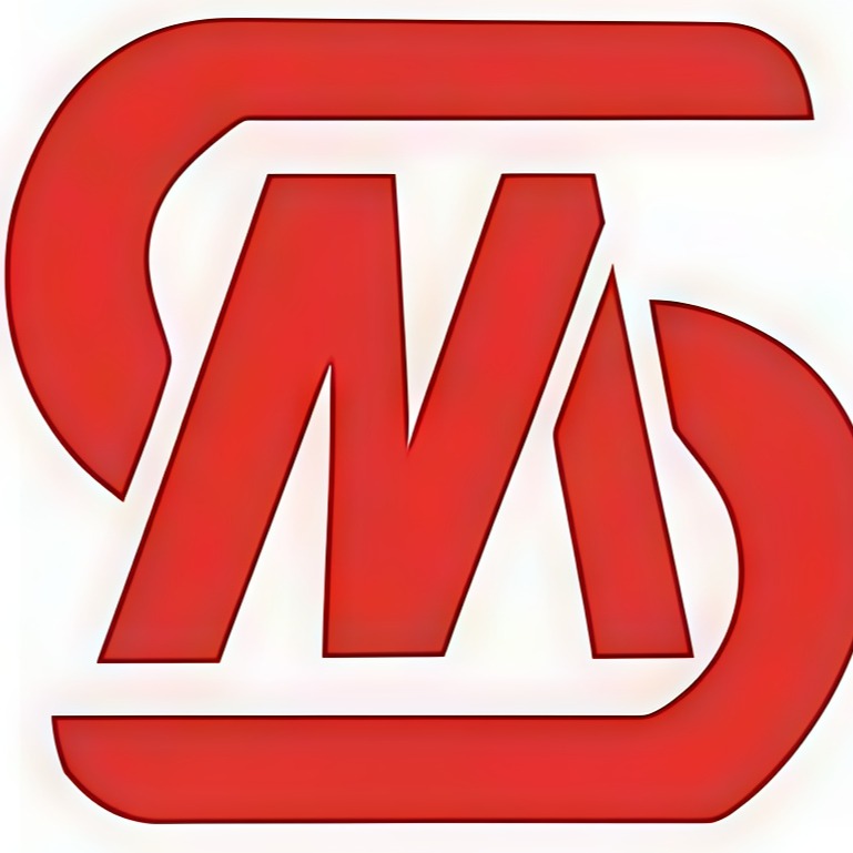 广东名实智能科技有限公司 - 公司logo