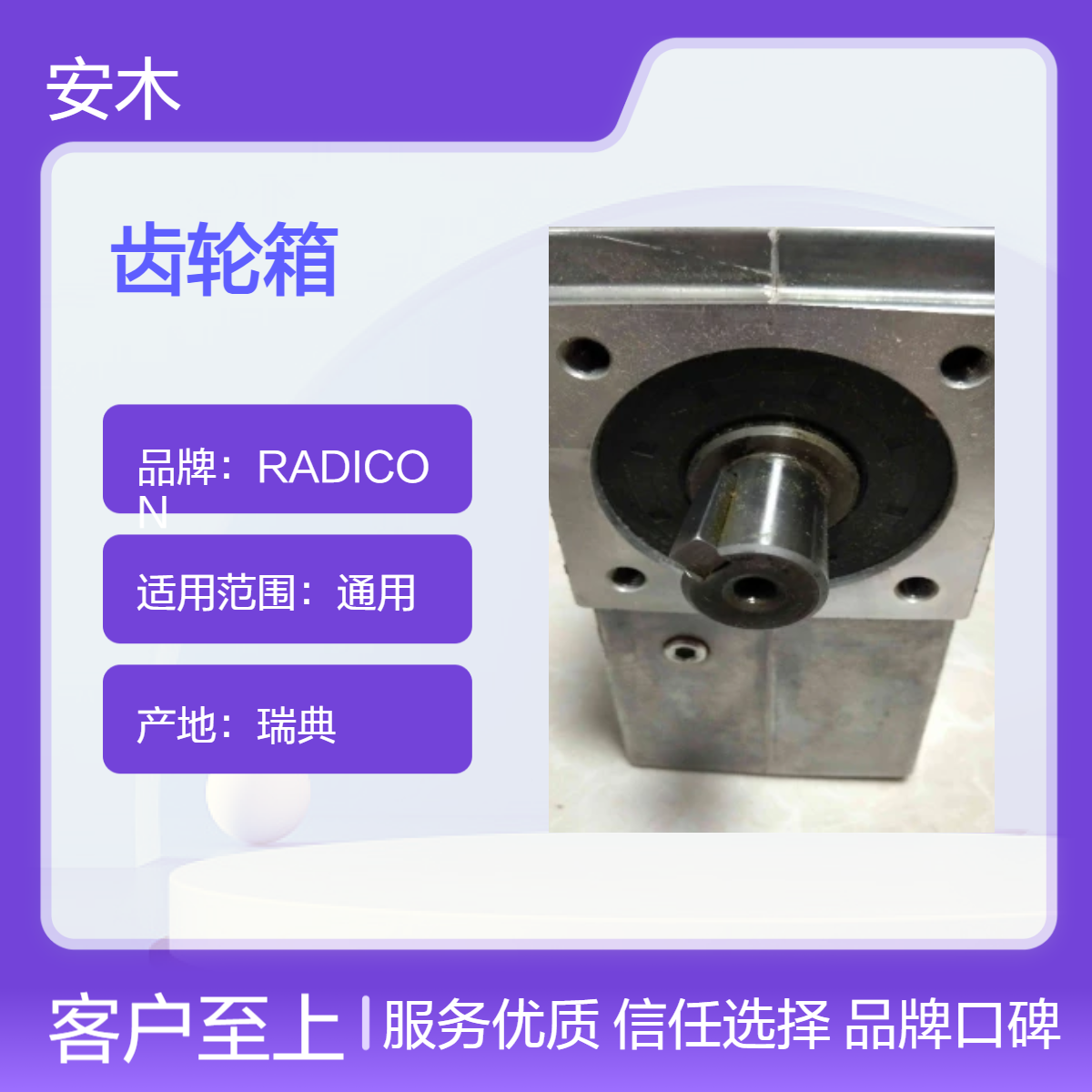 RADICON同轴硬齿面齿轮箱M02225.0BGCC1D1,5A