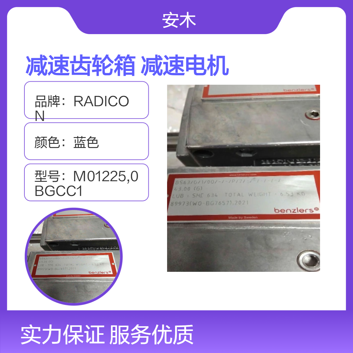 德国原装RADICON碳钢减速齿轮箱 适用于电厂 Benzlers齿轮减速电机