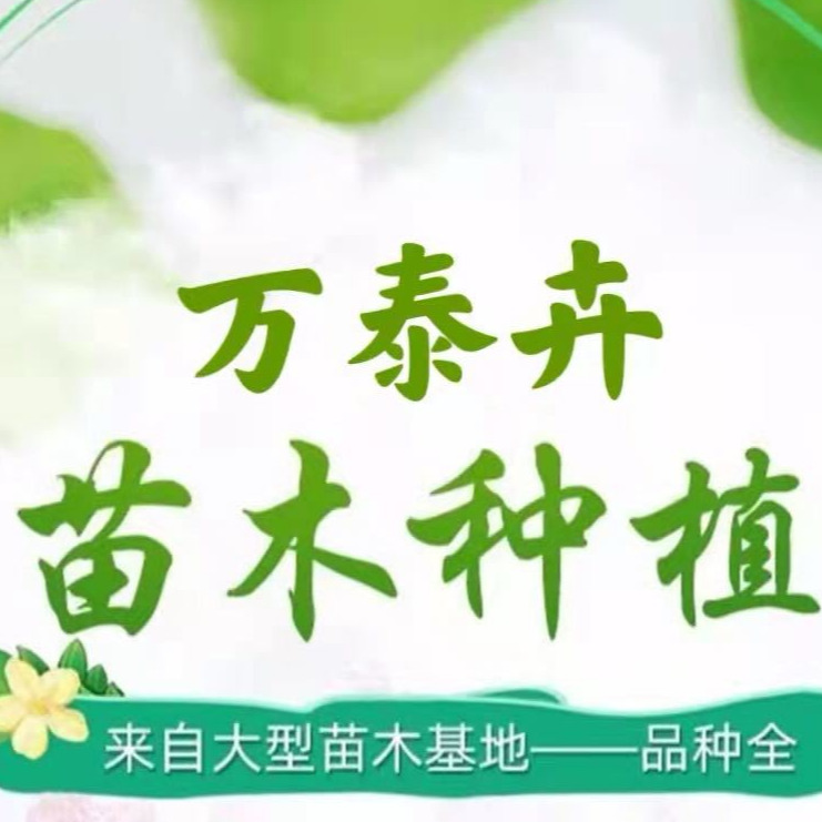 保定市万泰卉苗木种植有限公司