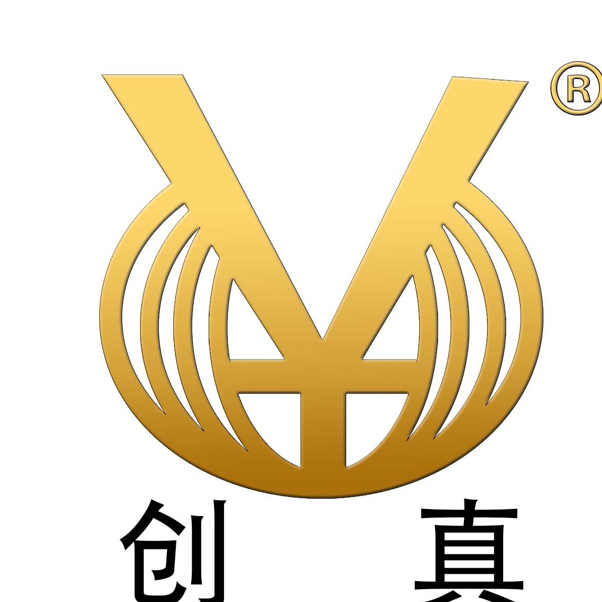 广东创高真空科技有限公司 - 公司logo