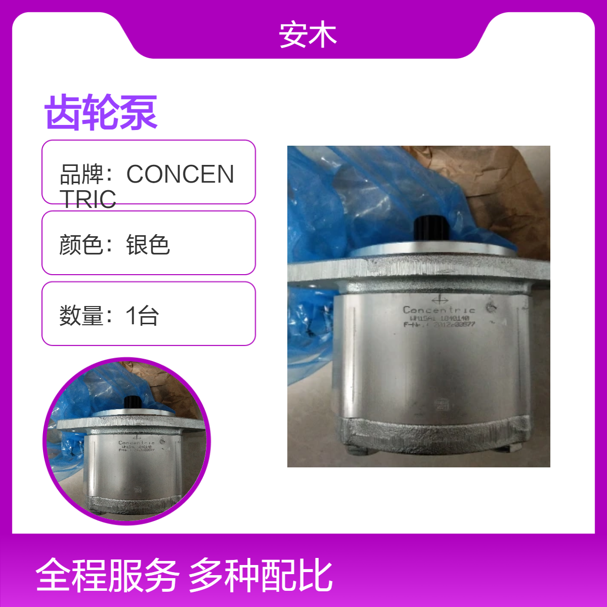 CONCENTRIC齿轮泵银色碳钢多级叶轮油泵WP09D2 1803394