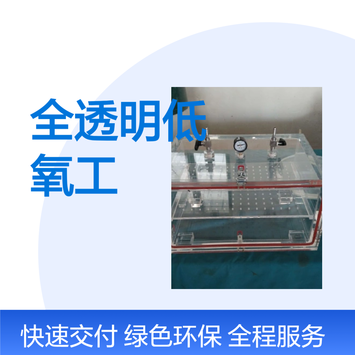 全透明低氧工作站