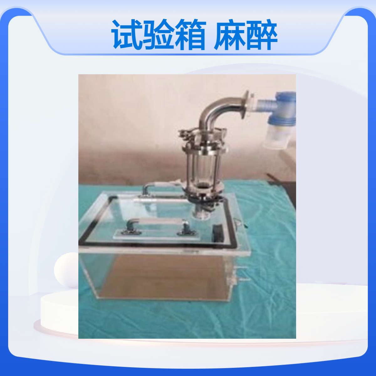 大小鼠气体密封试验箱麻醉箱染毒箱描记箱