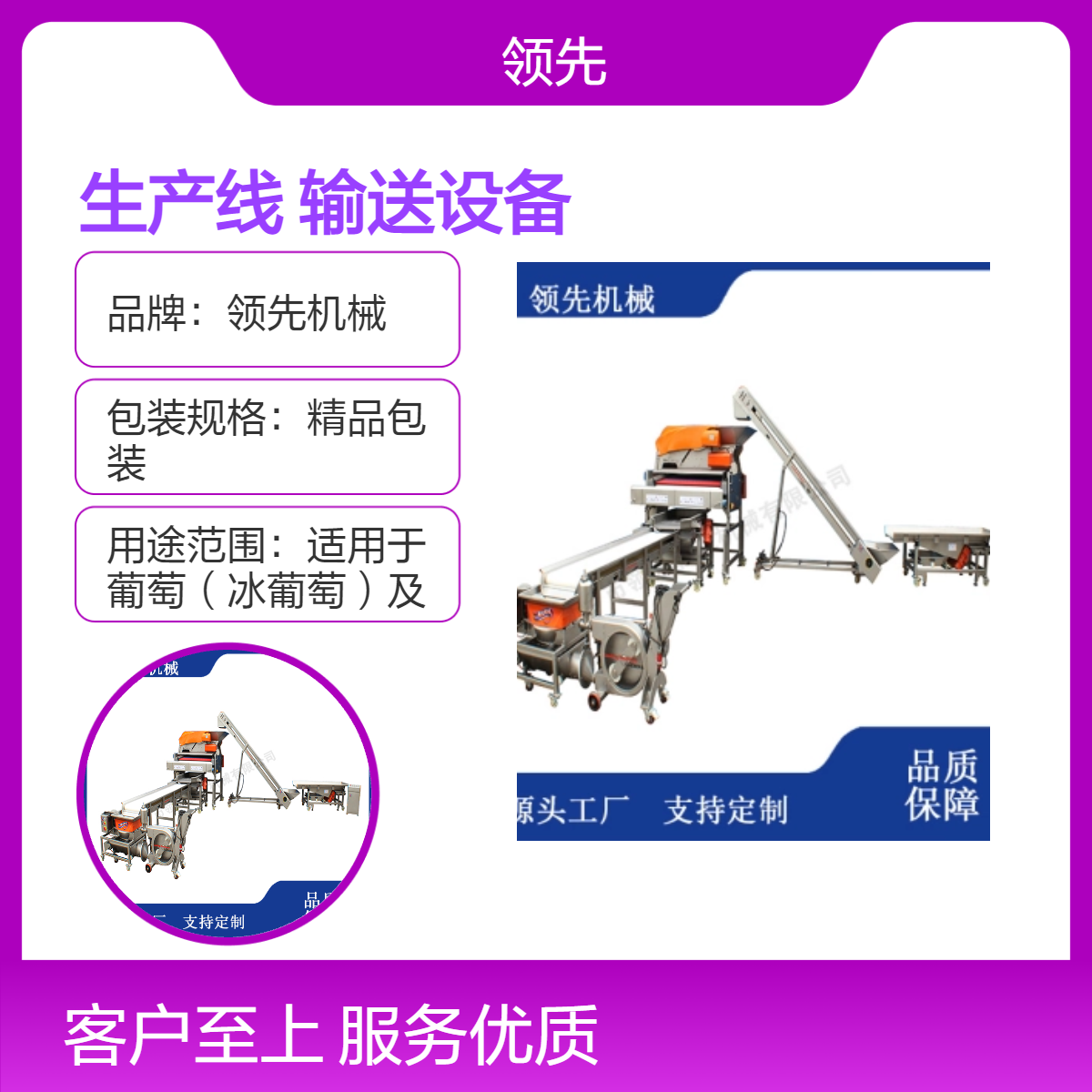 葡萄酒粒选生产线 葡萄除梗脱粒 破碎榨汁输送设备 产量可定制