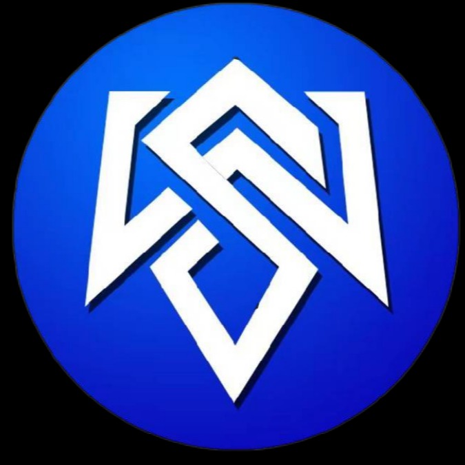青岛速维仪器设备有限公司 - 公司logo