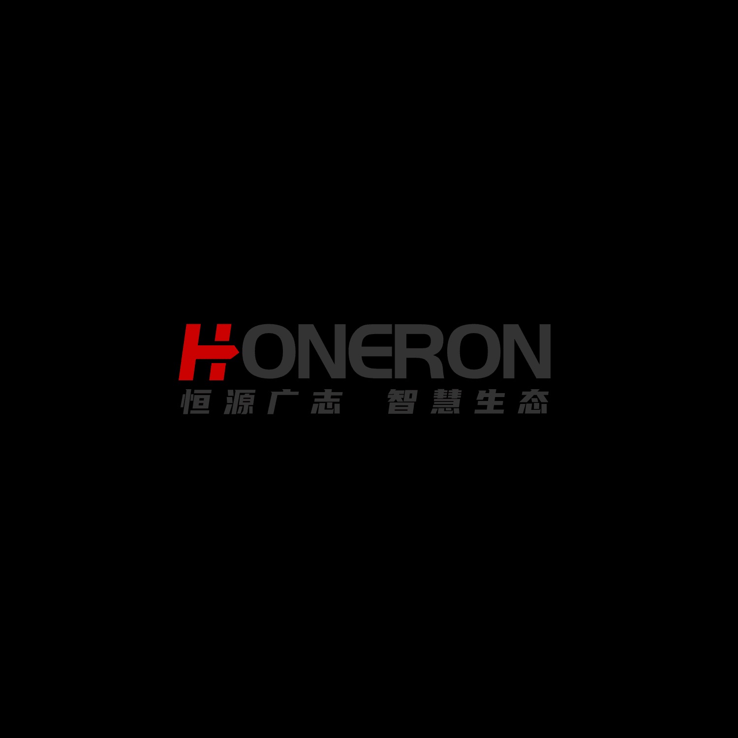 武汉恒源广志信息技术有限公司 - 公司logo