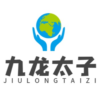 武汉九龙太子建材有限公司