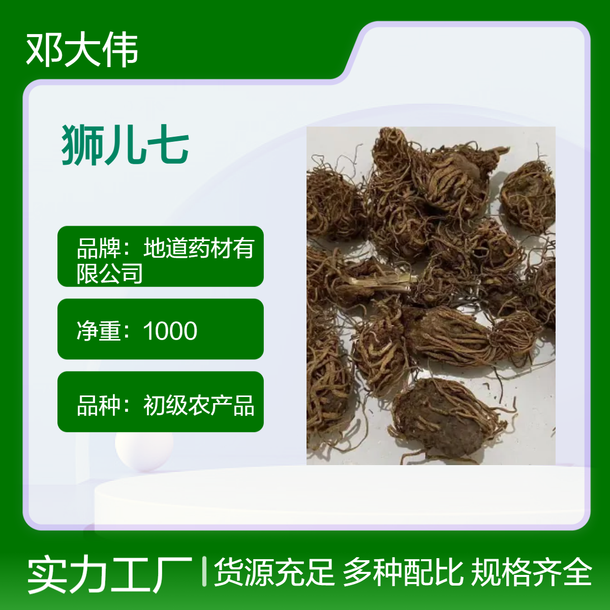 中药材狮儿七 芋儿七供应 产地直售 当年新货 质量保证