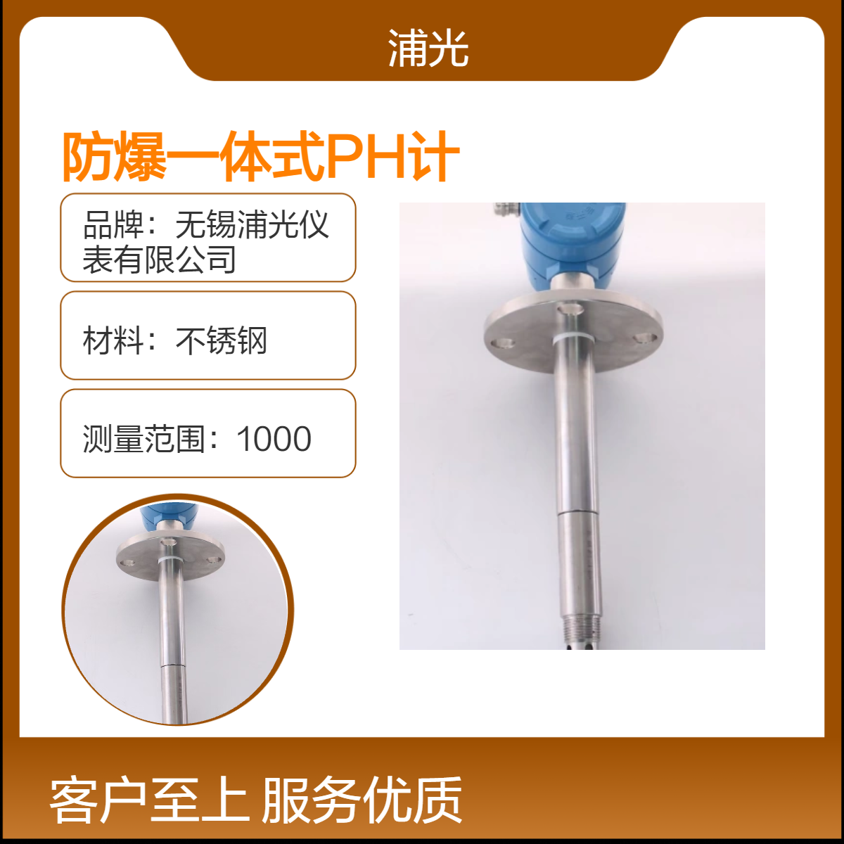 浦光 不锈钢材质一体式在线防爆PH计 投入式测量水处理 支持定制