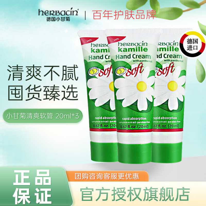 杭州小甘菊 总代理商 15067106445 浙江福建总经销小甘菊厂家直销小甘