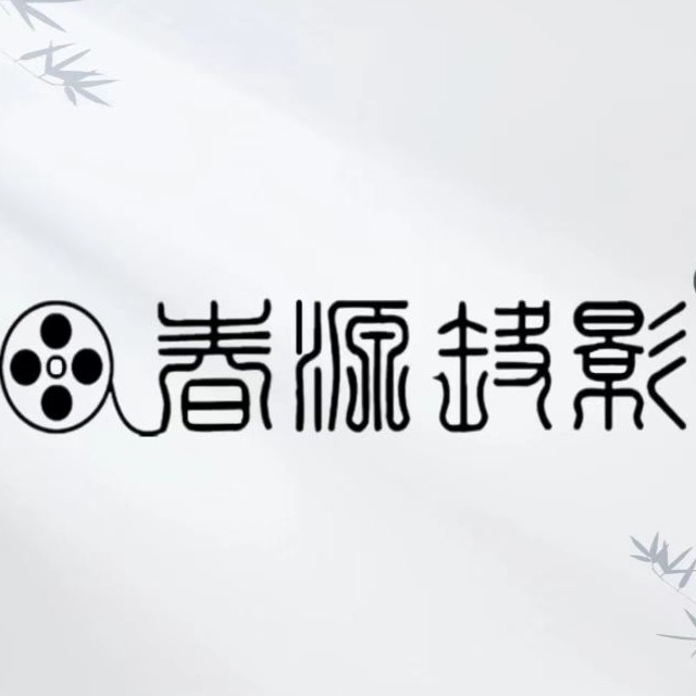 深圳春源丽影电子科技有限公司