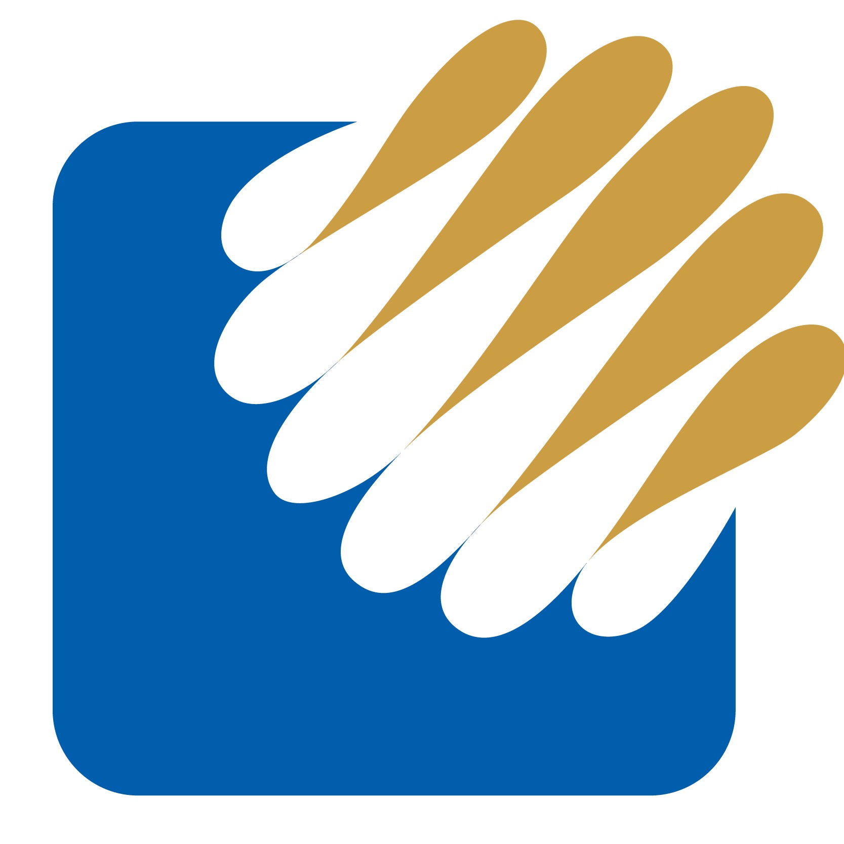 扬州中天利新材料股份有限公司