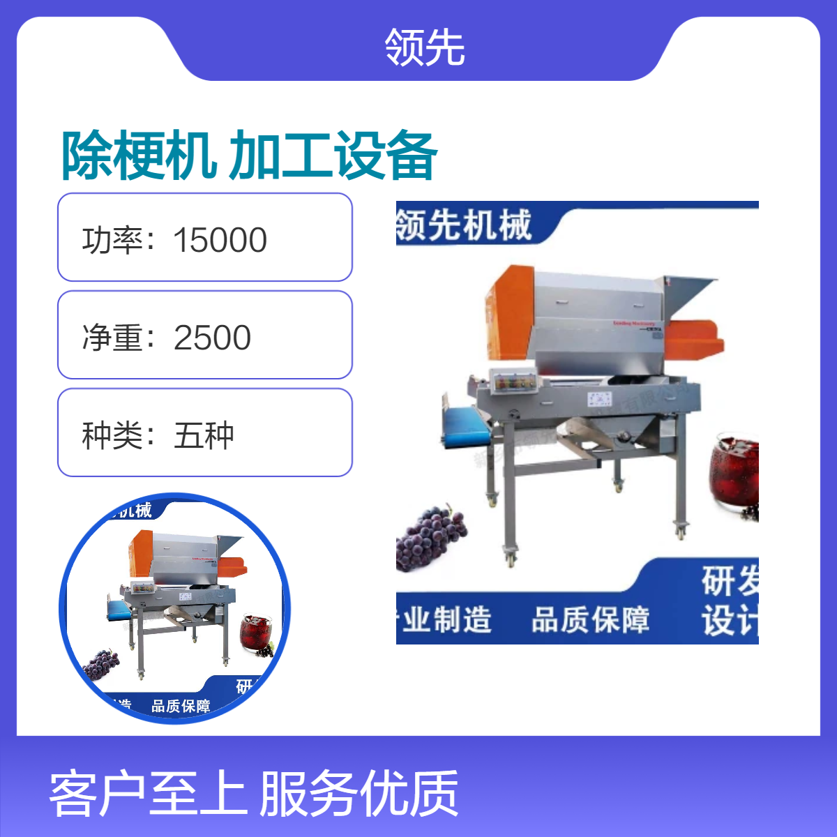 葡萄除梗机 红酒加工设备 除梗粒选加辊轮精选 碎梗率低 红 酒品质高