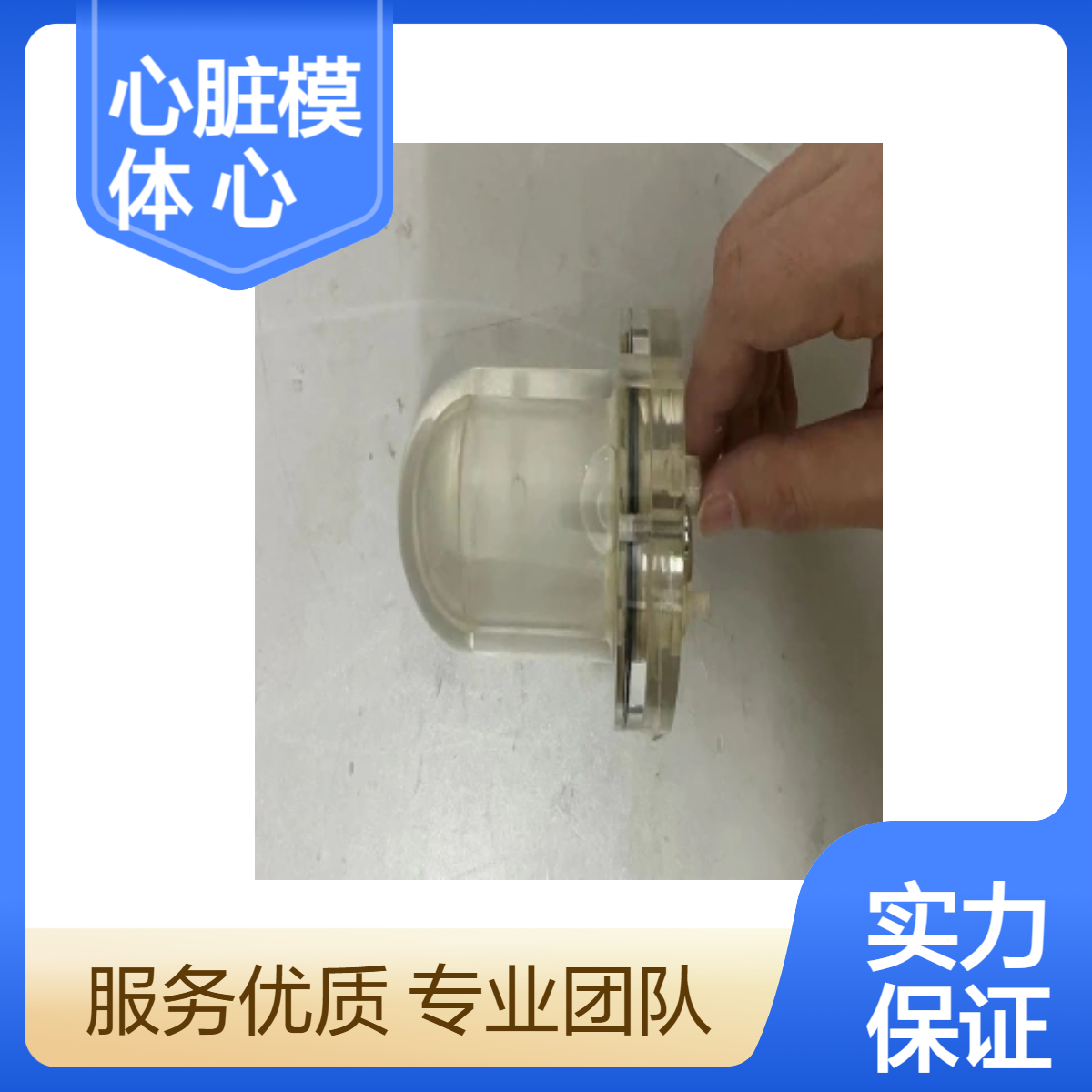 心脏模体动态心脏解析模体左心室模型右心室模型