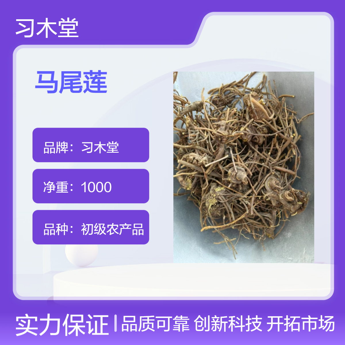 供应冷背药材马尾莲 金丝黄连 无硫新货 正宗原药材 一公斤包邮