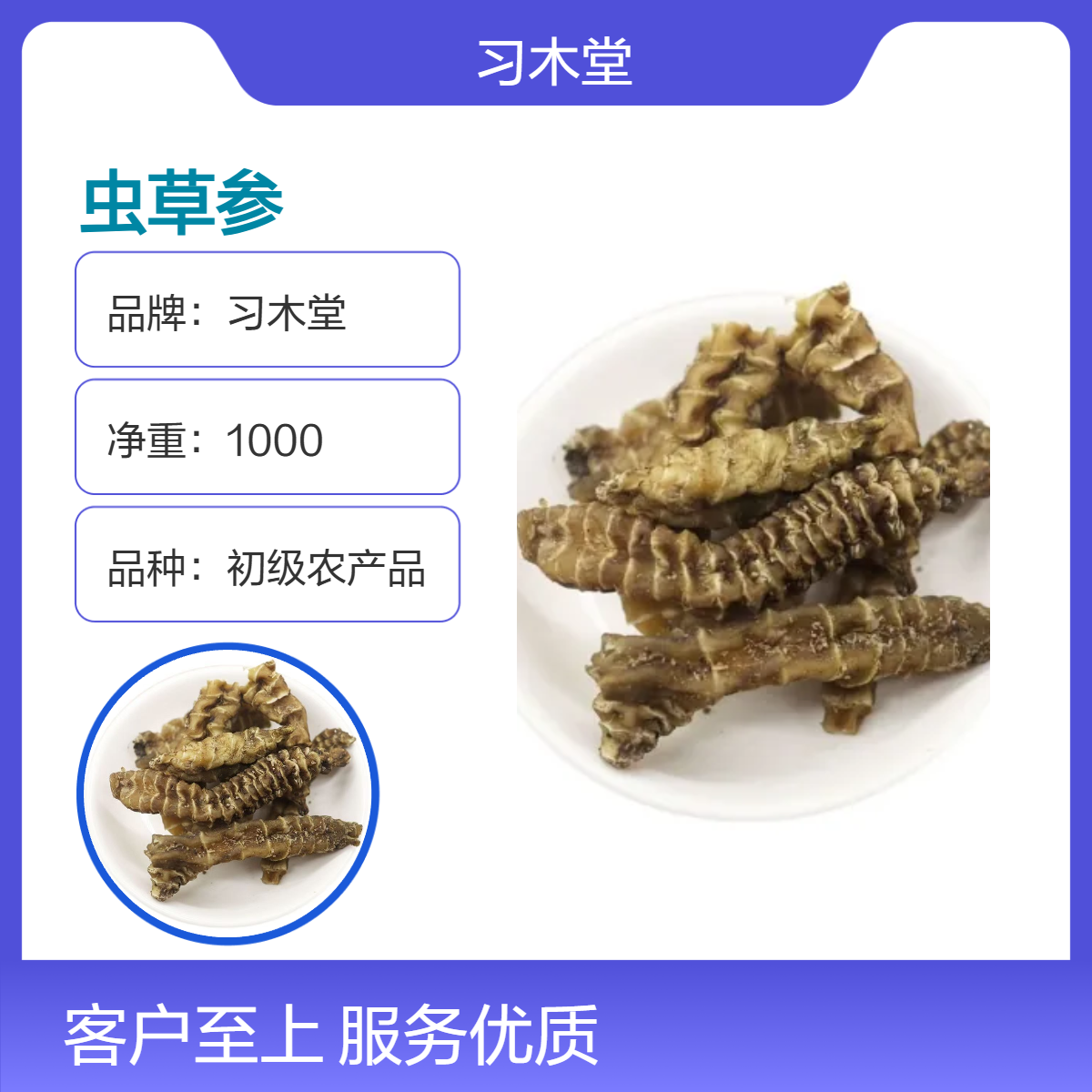 批发中药材虫草参 当季新货 无硫 烘干品质 正宗 原药材
