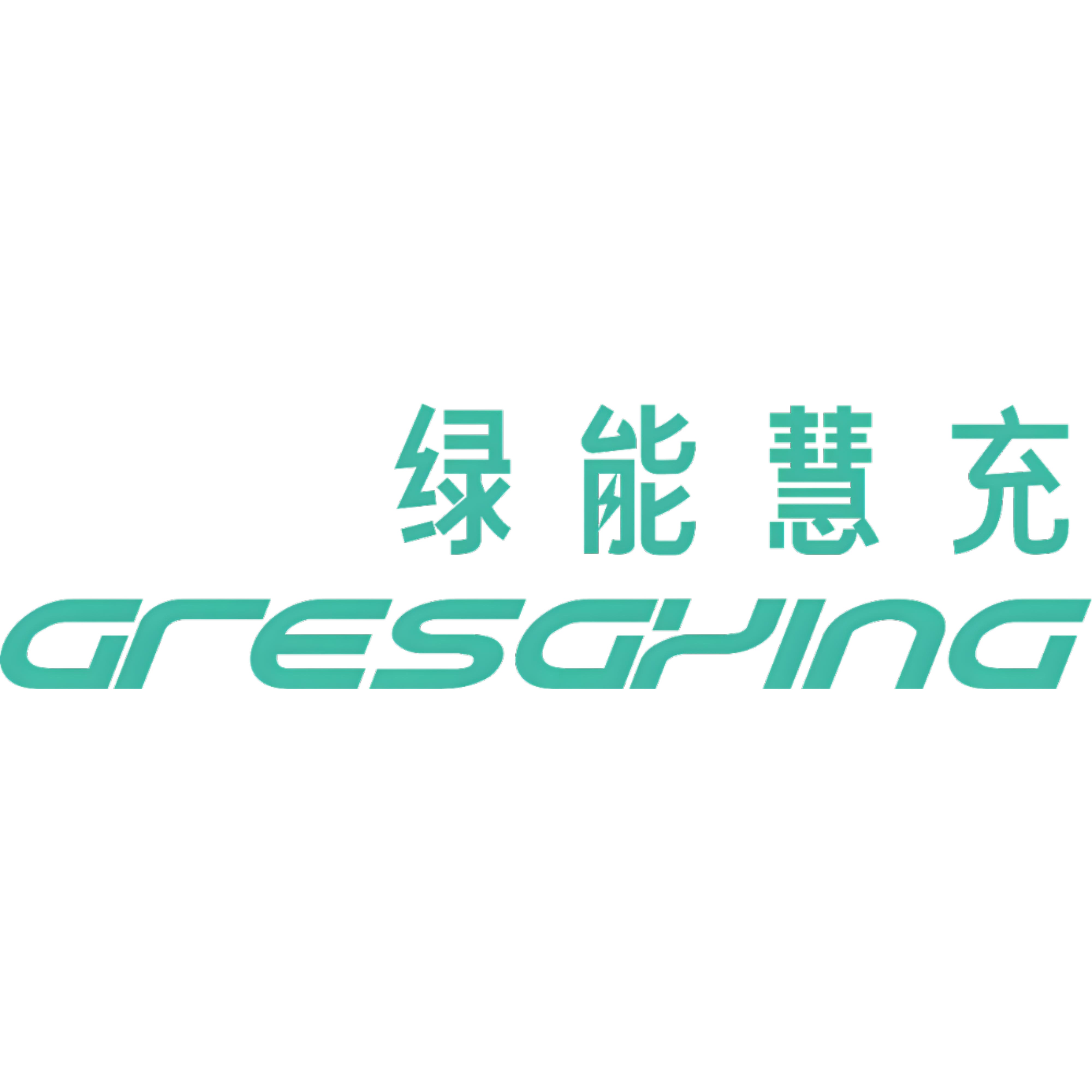 绿能慧充数字技术有限公司