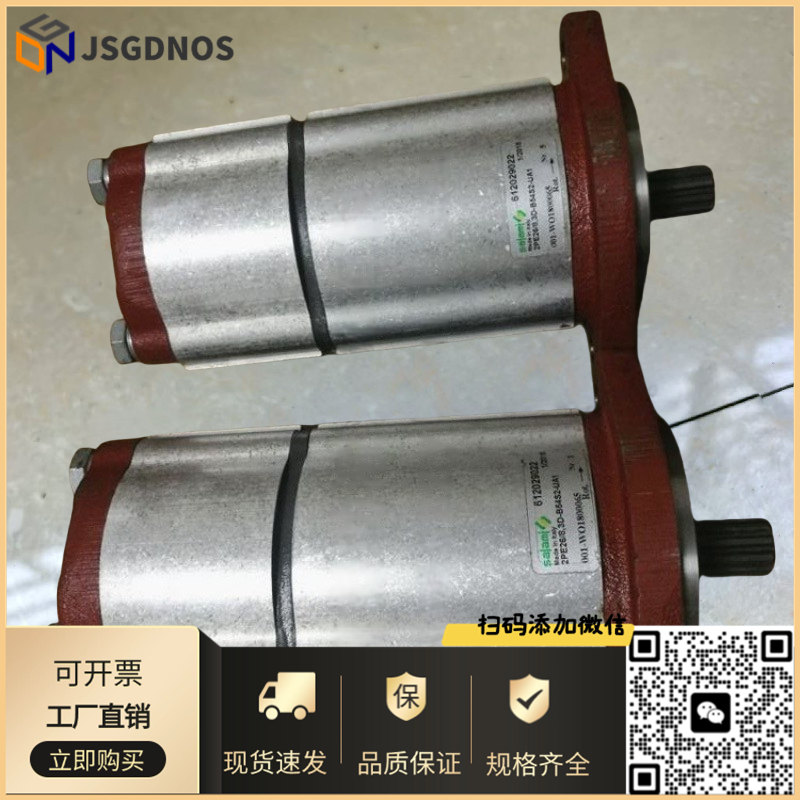 双联泵3PE21/21D-P38P2意大利萨拉米SALAMI齿轮泵循环泵