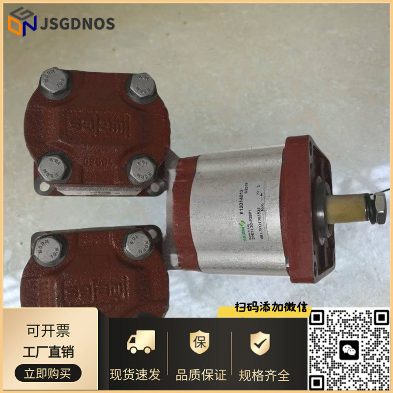意大利SALAMI液压泵油泵612079062 2PE19D-R52S2萨拉米齿轮泵