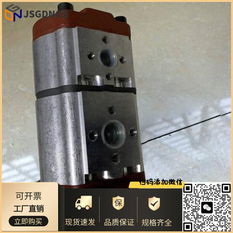 SALAMI高压泵双联泵3PE65/65/S-P38P2意大利萨拉米齿轮泵多种规格
