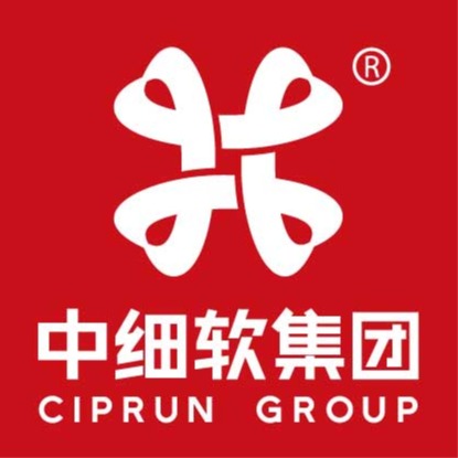 苏州中细软知识产权运营有限公司