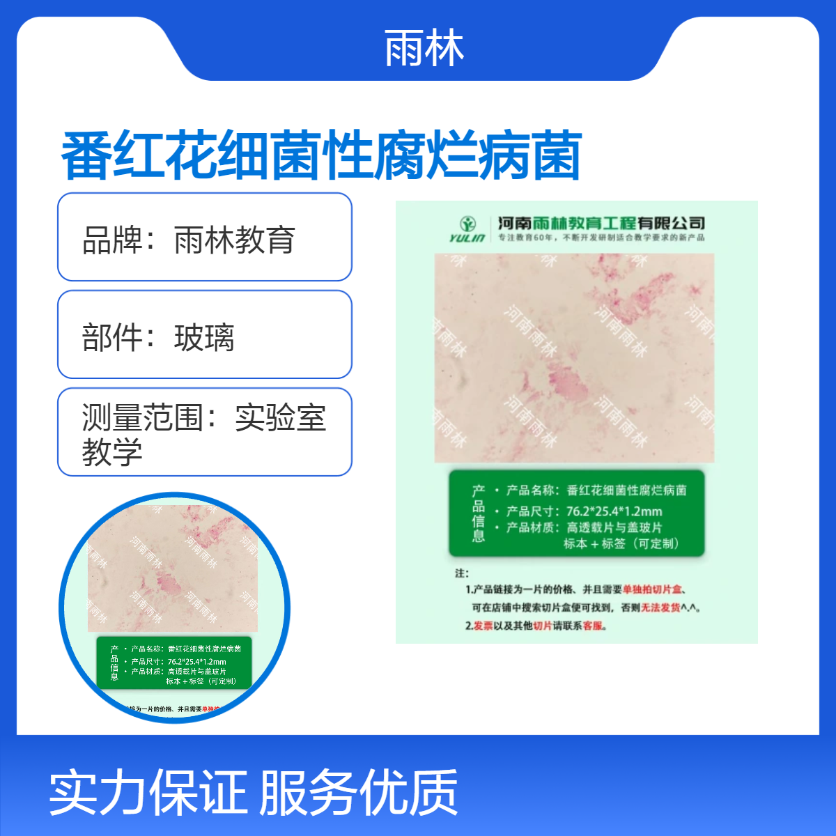 番红花细菌性腐烂病菌生物切片动植物细胞载玻片观察科研实验高校