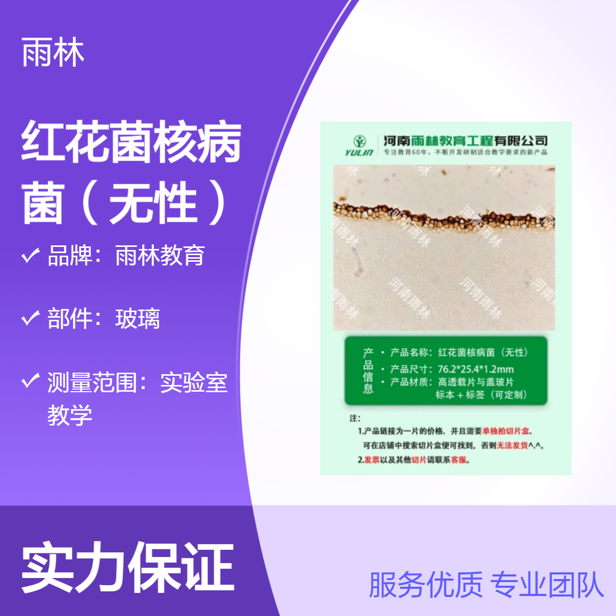 红花菌核病菌（无性）生物切片动植物细胞载玻片观察科研实验高校