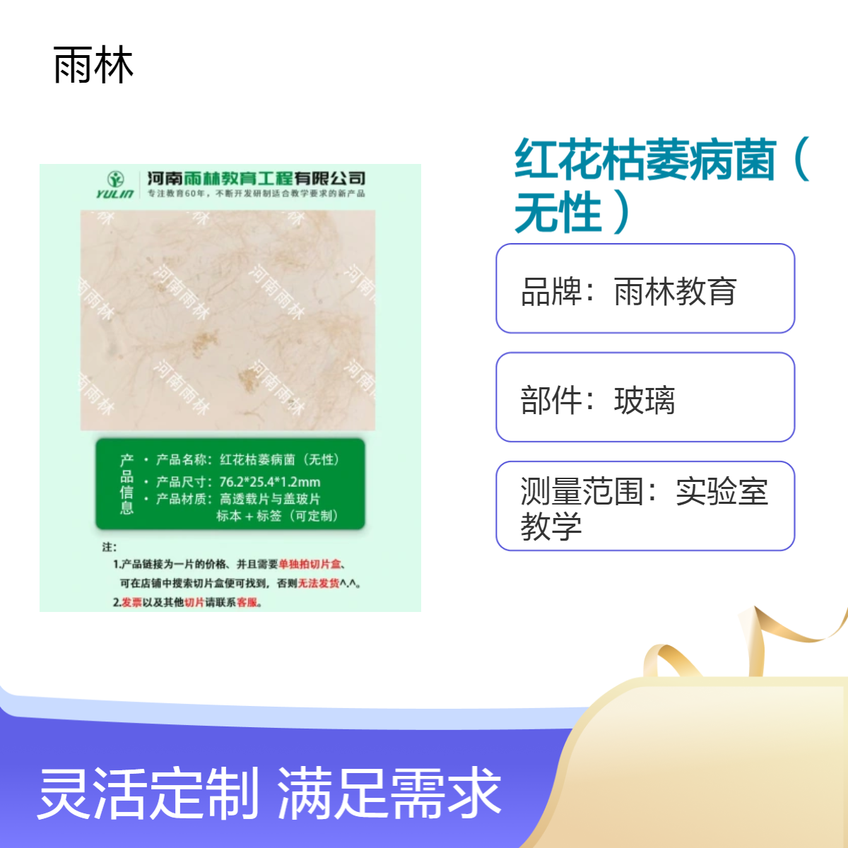 红花枯萎病菌（无性）生物切片动植物细胞载玻片观察科研实验高校
