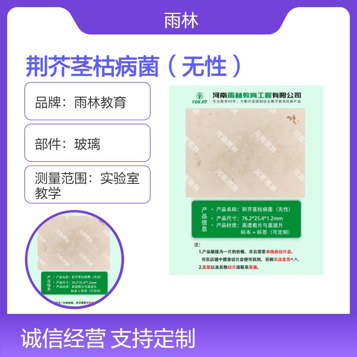 荆芥茎枯病菌（无性）生物切片动植物细胞载玻片观察科研实验高校