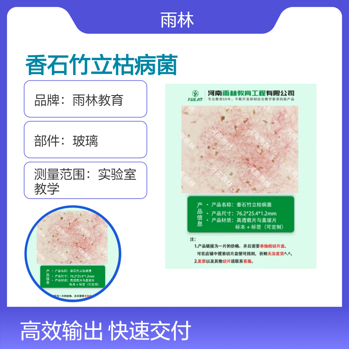 香石竹立枯病菌生物显微镜切片动植物细胞载玻片观察科研实验高校