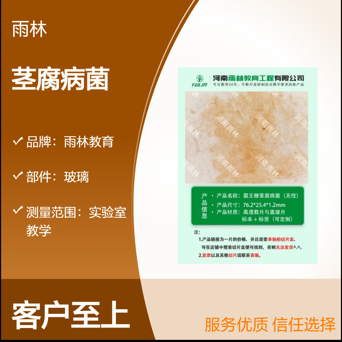 霸王鞭茎腐病菌（无性）切片动物植物细胞载玻片观察科研实验高校