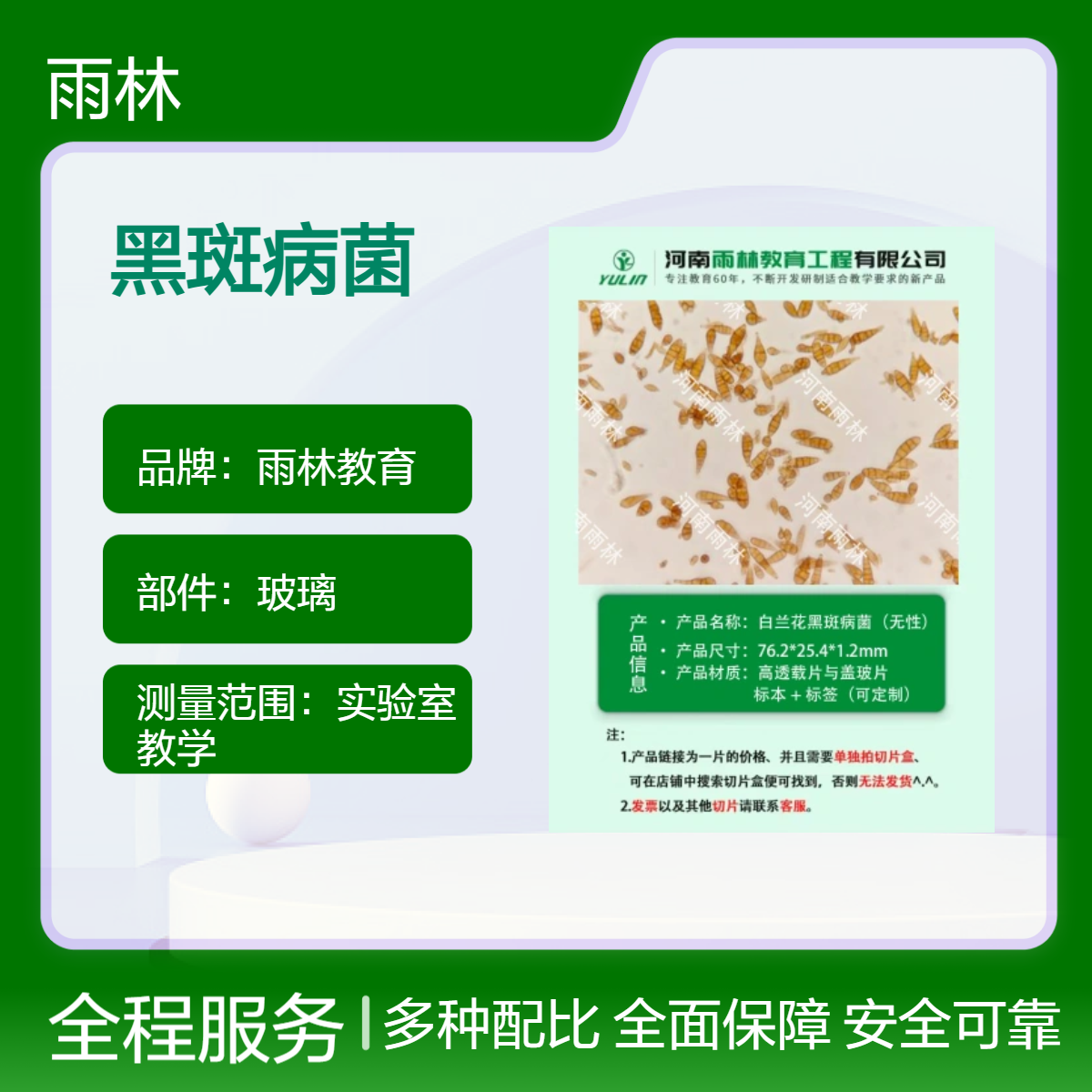 白兰花黑斑病菌（无性）切片动物植物细胞载玻片观察科研实验高校