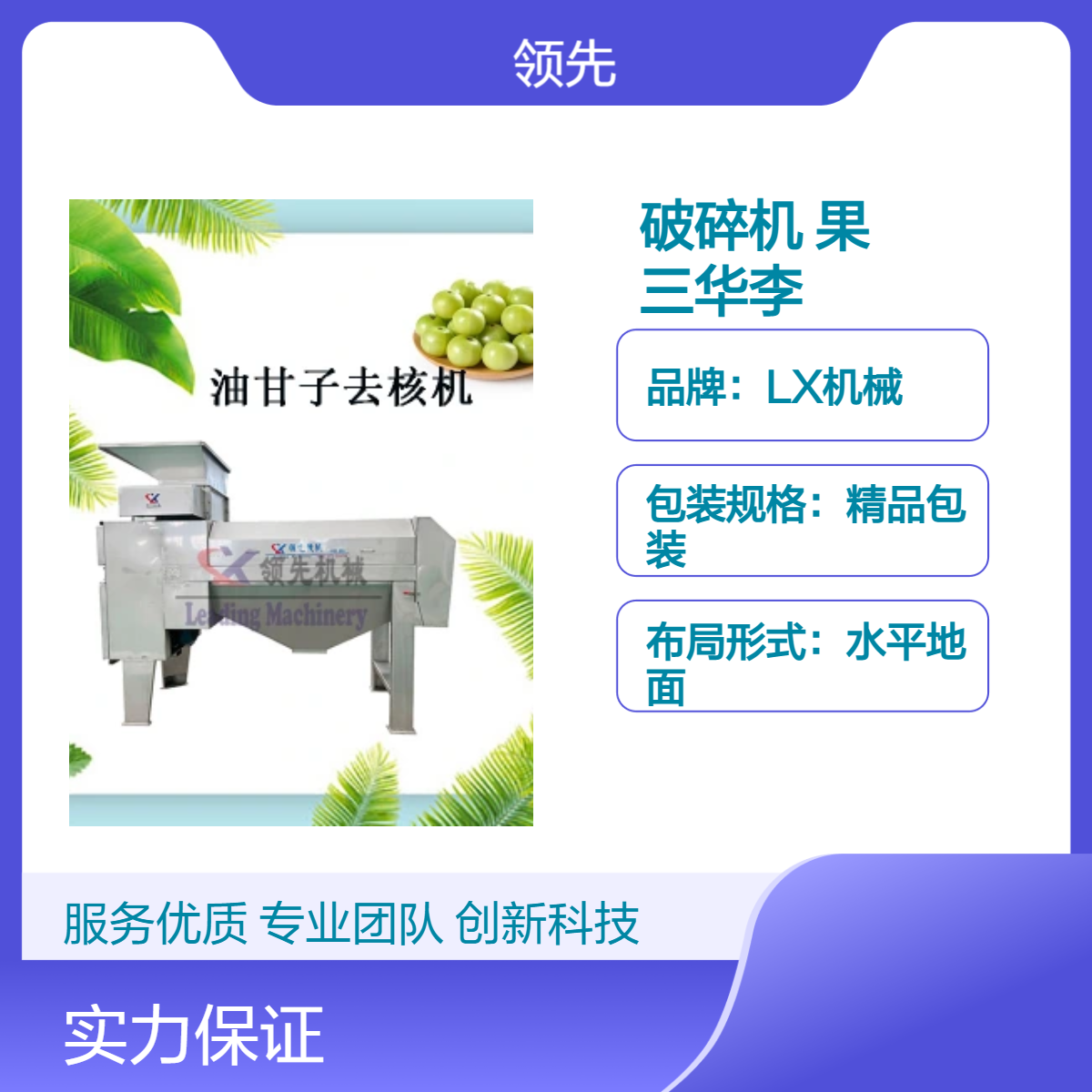 油甘子去核破碎机 快速分离果核与果肉 也适用橄榄 三华李破碎脱核