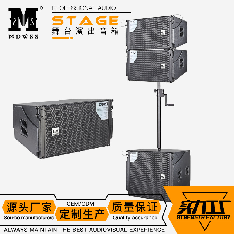 LR10单双10寸线阵音箱小型舞台专业音响套装Line array speaker只