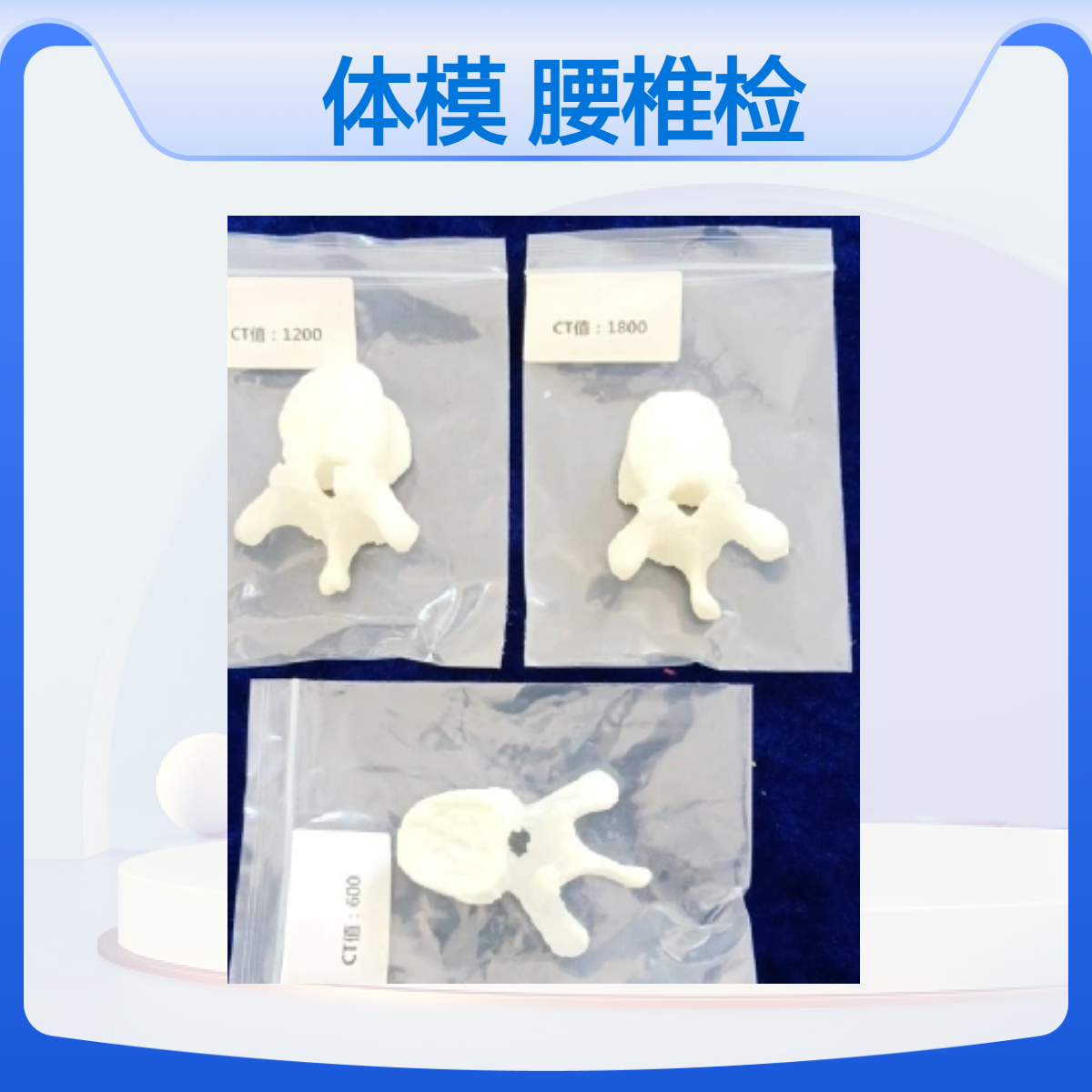 脊椎骨密度测定体模腰椎检测模体通用腰椎体模