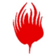 北京根炬科技发展有限公司 - 公司logo