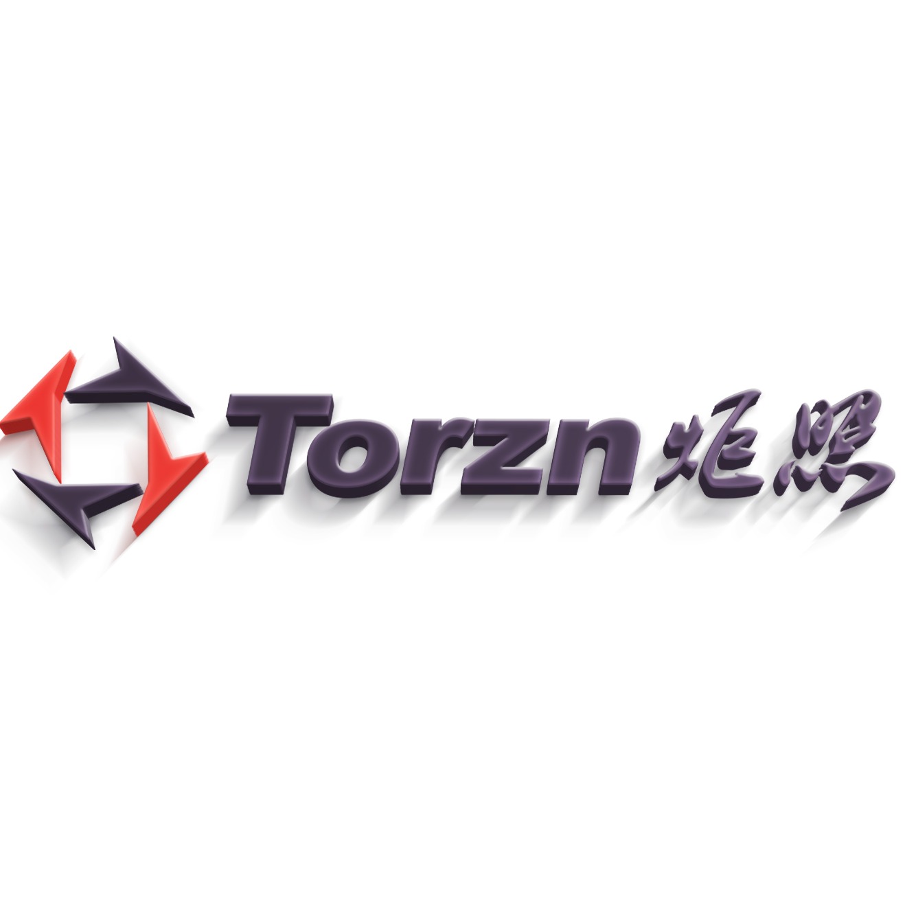 上海炬照智能设备股份有限公司