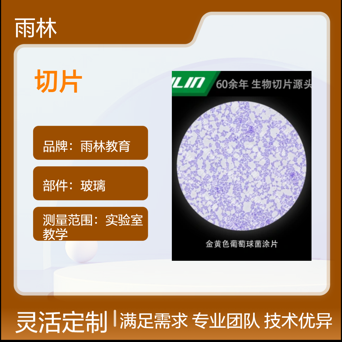 微生物学类球菌类切片套装22片医学院校用组织病理玻片标本显微镜